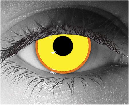  contact lenses